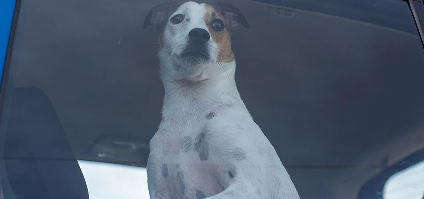 Car Lockout Solutions in Arden-Arcade, California